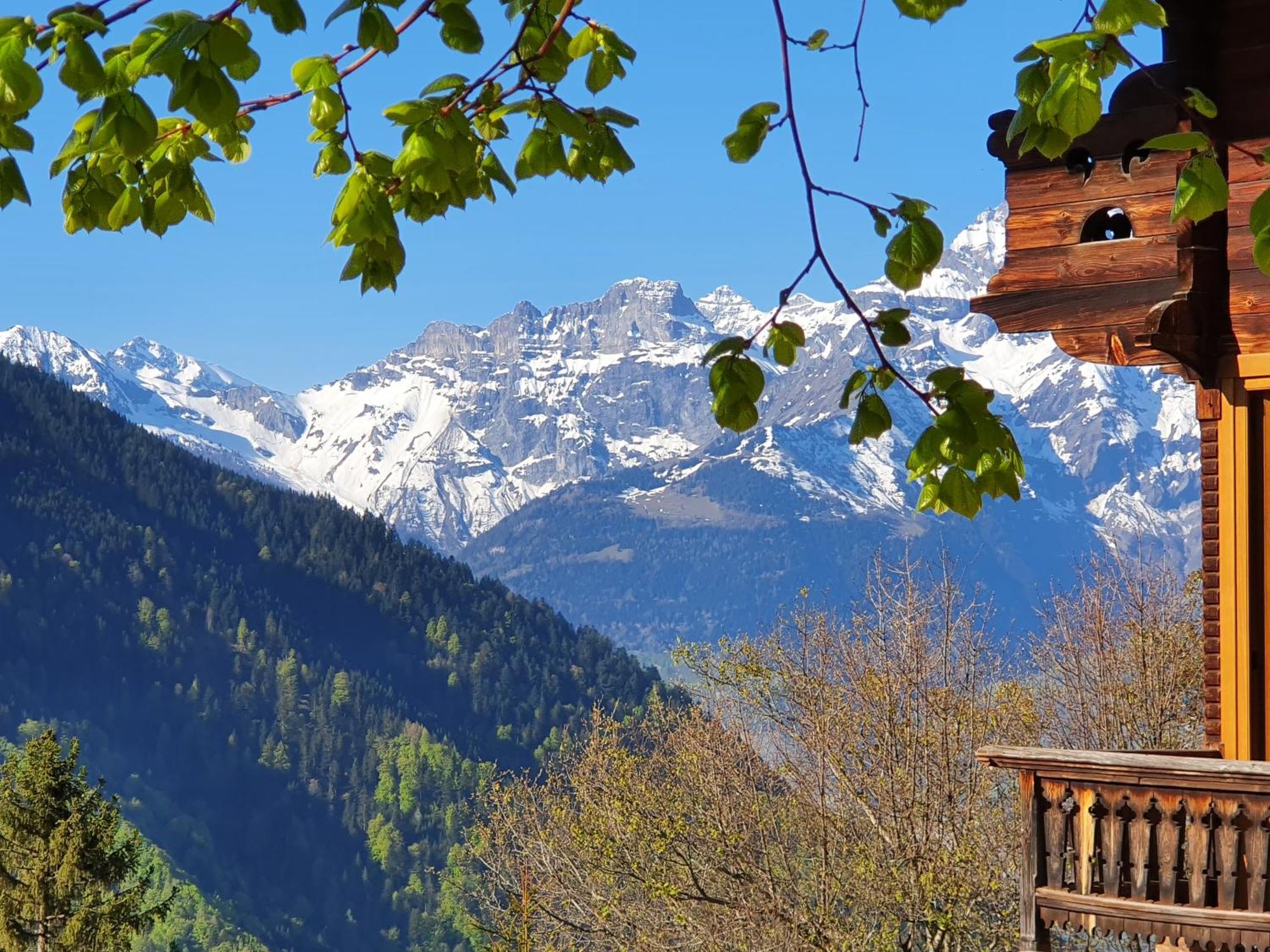 Magnifique Chalet Valérie 5 chambres à coucher&vue unique Gryon Exterior foto